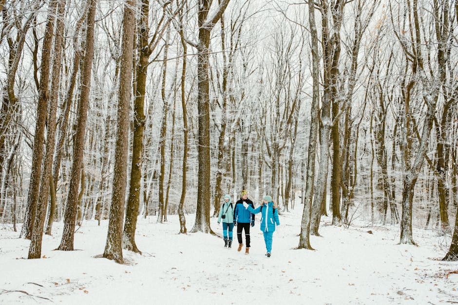 A group of friends hiking through a snow-covered forest in winter.