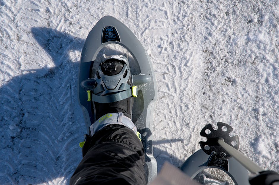 Close-up of a snowshoe on snowy ground, ideal for winter sports enthusiasts.