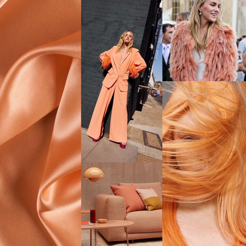 Pantone’s Colour of The Year 2024: Is Peach Fuzz